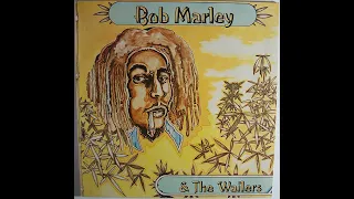 Bob Marley and The Wailers live Connecticut, USA - 1978