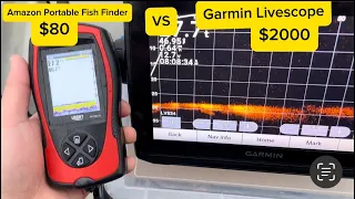 Amazon Fish Finder vs Livescope (LVS34)