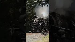 NKP 765 Tears Through Bath, Ohio #nkp765 #train #steamengine #ohio #cleveland #steamlocomotive