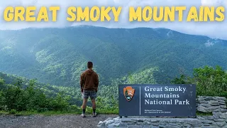 Great Smoky Mountains National Park Guide - TOP Day Hikes for Everyone!
