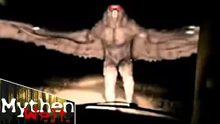 Die wahre Geschichte des Mothman