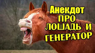 Анекдот про Лошадь и Генератор. Анекдот до слез