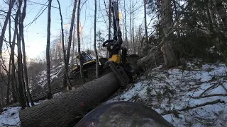 Logger Onboard ÷ Husky 592xpg & Ponsse Bear [ 5 : # ]