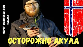 Рыбалка в Норвегии!ОСТОРОЖНО АКУЛА!Как мы поймали акул в Норвегии!удачная рыбалка! Дом рыбака