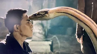 Most Dangerous Snake Island On The Planet | Python Island Movie Explained  In Hindi | Urdu