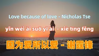 因为爱所以爱 - 谢霆锋 yin wei ai suo yi ai - Nicholas Tse.经典华语歌曲.Chinese songs lyrics with Pinyin.