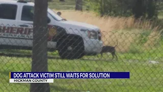 Dog attack victim still waits for solution