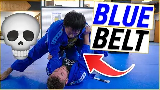 White Belt Taps Blue Belt Then... | BJJ Gi Rolling