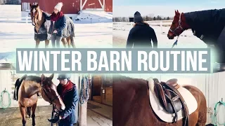 BARN ROUTINE feat. Equilab | Equestrian Prep