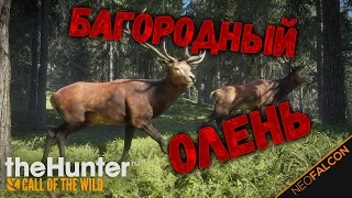 БАГОРОДНЫЙ ОЛЕНЬ 😂🔥🔫 theHunter: Call of the Wild - Весёлые моменты