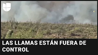 Incendios forestales consumen más de 14,000 acres de un bosque nacional en Arizona