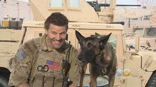 David Boreanaz's Canine Sidekick Becoming Must-See On 'SEAL Team'