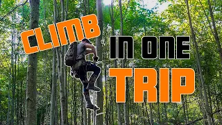 How to Climb the Tree in One Trip - Saddle Hunting Basics