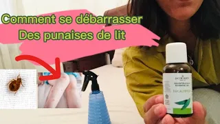 Comment se débarrasser des punaises de lit /actuce naturelles et efficaces 👍🏼