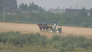 Русская тройка  Амазонка, Комбат Дид. Емельяновский ипподром 2019 сельский