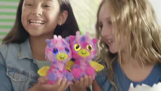 Hatchimals Surprise - Peacat - Hatching Egg with Surprise Twin Interactive Creatures by Spin Reviews