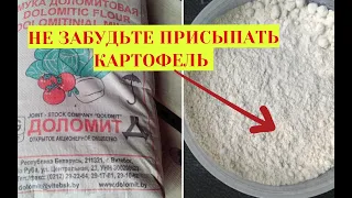 Доломитовая мука как использовать в огороде при посадке картофеля. Не забудьте присыпать картофель!