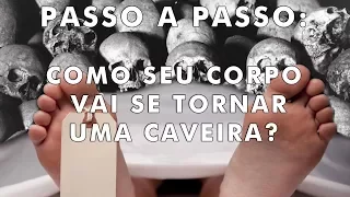 Coisas que acontecerão com seu corpo após sua morte - O PORQUÊ DAS COISAS