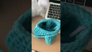 crochet a dino with me