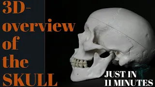 3D-ANATOMY OVERVIEW OF THE SKULL  |ADVANCED LEARNING METHOD| PART-1