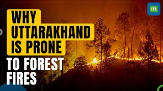 Explained: Uttarakhand Forest Fires | What are the Key Reasons Behind Wildfires