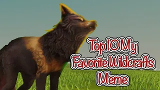 Top 10 My Favorite WildCraft Meme