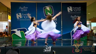 Habibis ITM 2do puesto grupos universitarios en el II Encuentro Cultural Flamenco Árabe 2019