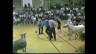 Kevin Donkey Basketball 1985
