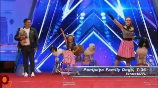 The Fantastic Pompeyo Family Dogs @ America's Got Talent 2017