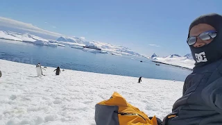 ANTARCTICA INTRO