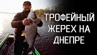 ЗА ТРОФЕЙНЫМ ЖЕРЕХОМ НА ВЕРХНИЙ ДНЕПР! Рыбалка на спиннинг 2019