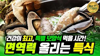 면역력 되찾아주는 💪 특별 보양식 대.공.개! 📣 [#황금나침반] / YTN 사이언스