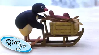 Pingu Goes Shopping for Fish Presents! | Pingu Official | Cartoons for Kids