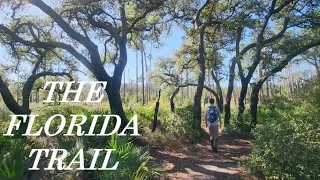 HIKING the FLORIDA TRAIL!! 4K, Clearwater Lake to Alexander Springs, Clearwater, FL