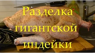 Огромный индюк (разделка индейки) или King size oblomoff