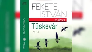 Fekete István- Tüskevár (hangoskönyv) 14/44