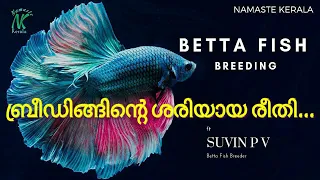 How to Breed Fighter Fish in Malayalam | Betta Fish Breeding | Malayalam | Namaste Kerala