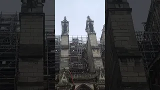 the reconstruction of  Notre dame   cathedral #paris #