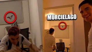 ENTRO UN MURCIELAGO A NUESTRA NUEVA CASA Y MIRA LO QUE OCURRIO *gracioso* | Donato