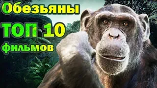 Обезьяны ТОП 10 лучших фильмов