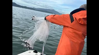 Throw Netting for Top Smelt - Step by step tutorial on how to Throw Net for Top Smelt - Live Bait.