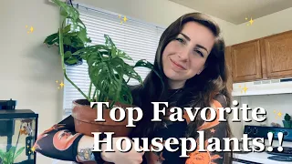 Top 7 Favorite Houseplants!!!