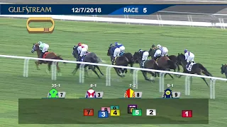 Gulfstream Park Replay show | December 7, 2018