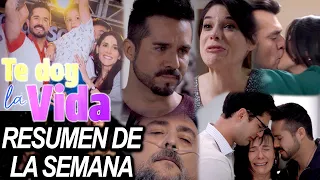 Grandes momentos de "Te doy la vida": Gina le dijo la verdad a Pedro y perdió a su papá