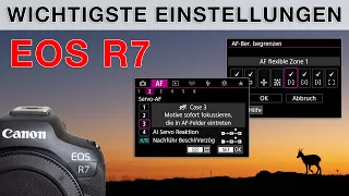 Canon R7 - Meine Einstellungen für die Vogelfotografie und Tierfotografie (Setup Deutsch)