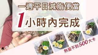 減脂 便當自己煮 | 一小時內完成一週平日健康便當，5個低脂便當每份不到500大卡/上班族快速備餐心得分享/常備減醣餐盒製作/低醣高蛋白便當/懶人料理便當菜A week of lunch boxes