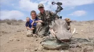 2 WARTHOGS AND BIG PORCUPINE BOWHUNTING