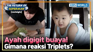 [IND/ENG] An alligator bites daddy! What will the Triplets do? | Nostalgia Superman | KBS 140914