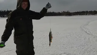 В ПОИСКАХ ТРОФЕЕВ. В ВЫХОДНОЙ ДЕНЬ НА РЫБАЛКУ. "IN SEARCH OF A PIKE. ON A DAY OFF FISHING".