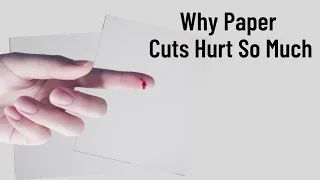 Why Paper Cuts Hurt So Much